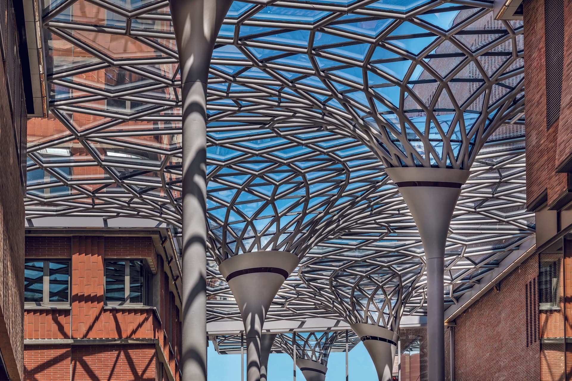 Das Glasdach im Westfield Hamburg-Überseequartier (© Andreas Keller, Altdorf)